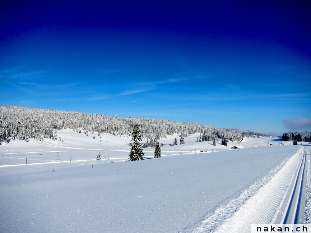 Le 12.12.12, du ski de fond et des montres