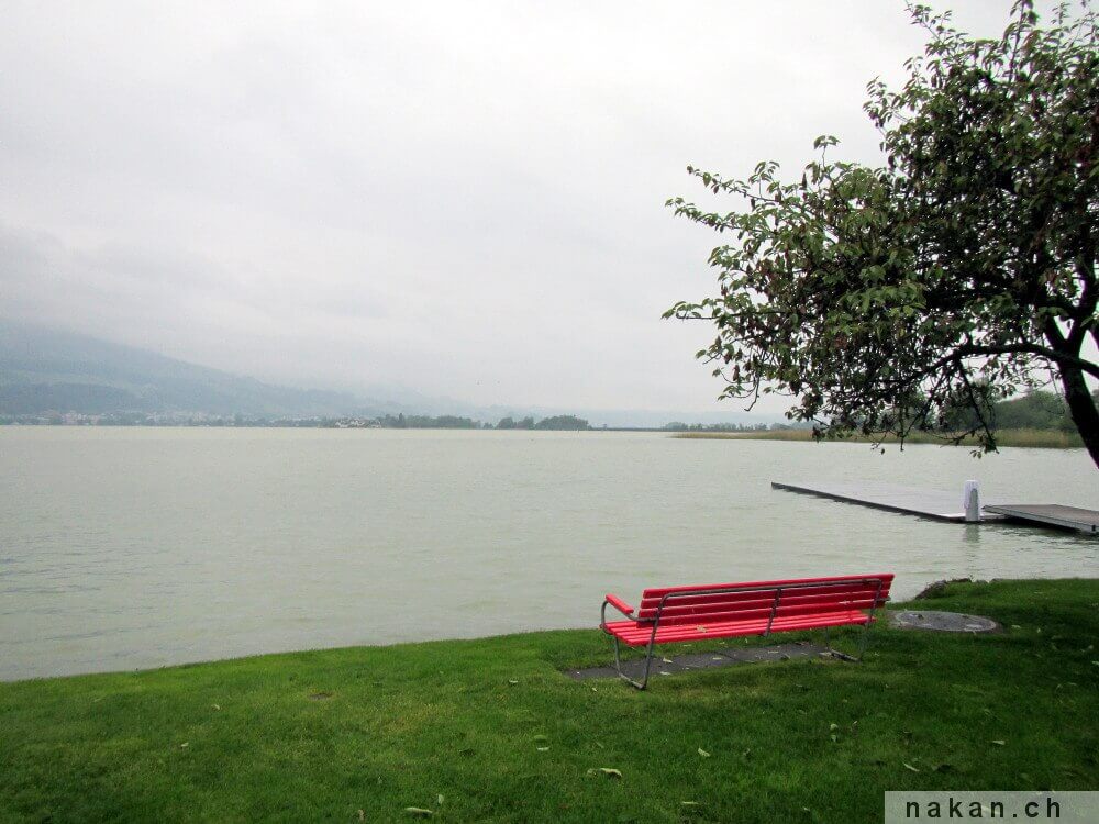 Ironman 70.3 Switzerland (Rapperswil) 2013