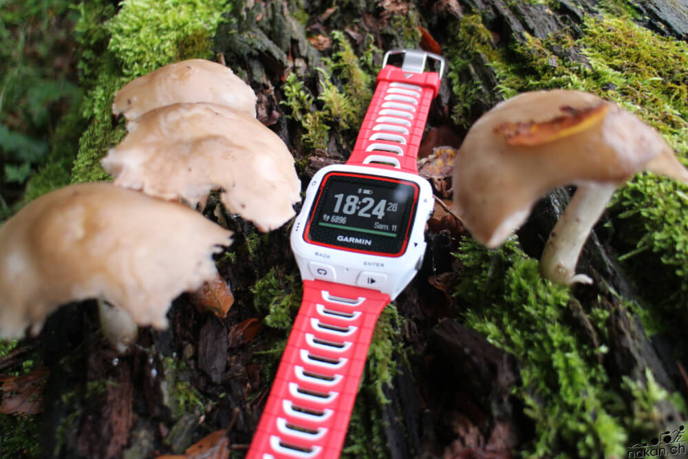 Un week-end avec la Garmin Forerunner 920XT